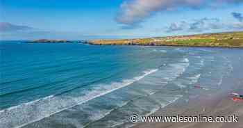 Dramatic cliff walk above coves and seals that ends at one of Wales' best cafes on a golden beach