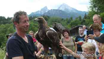 Der 'Berchtesgadener Weg': Ein Modell für den Schutz von Steinadlern in den Alpen