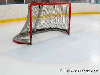 Melfort Mustangs lead Weyburn Red Wings in SJHL final