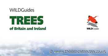 Wild Things: Don't take trees for granted