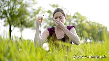 Ranking zeigt, wo Menschen am meisten unter Heuschnupfen leiden – Städte aus Bayern vorne dabei