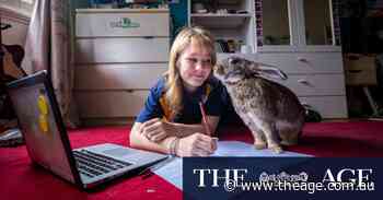 Thousands of high school students shun ‘two years of hell’ in favour of vocational VCE