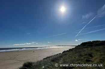 Most idyllic Northumberland picnic spots to enjoy when temperatures spike this week
