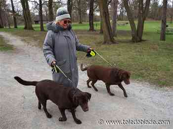 Metroparks Toledo seeks an early reset for its operations levy
