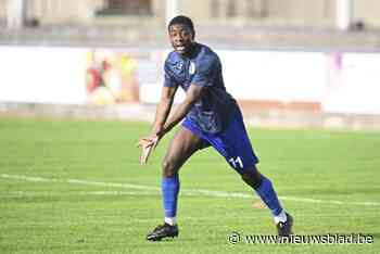 Fenixx haalt broers bij KCVV Elewijt en shopt ook bij Sint-Denijs