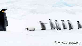 7 Linux distros you should avoid until you've mastered the command line