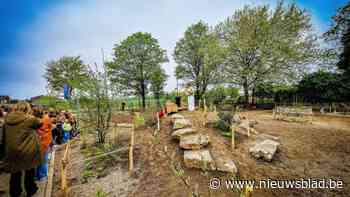 Peerse basisschool De Dommelbrug vervangt plaveien door natuurspeelplaats
