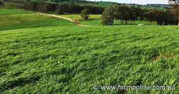 High rainfall South Gippsland dairy farm on the market at Leongatha