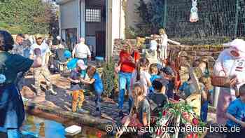 Schmuckstück  in Bieselsberg: Dorfbrunnen in mehr als 400 Arbeitsstunden saniert