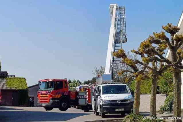 Brand in stal van kippenkwekerij snel onder controle