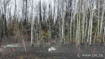 Residents forced out by grass fire in Traverse Bay can return home