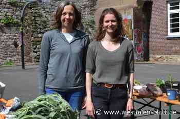 Erste Pflanzentausch-Börse in Vlotho lockt Gartenbesitzer an
