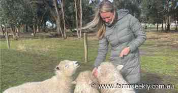 Why passionate farmers are working hard to save heritage livestock breeds