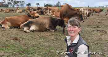 Having three properties has helped this dairy farm boost its performance