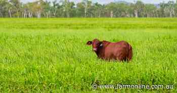 New-Eden presented with highly productive coastal hill, floodplain country