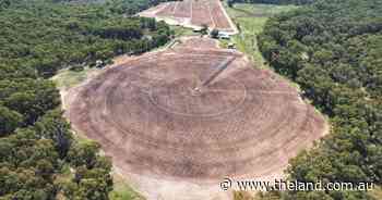 Lachlan Park a rare 222 acre irrigation, livestock property with water