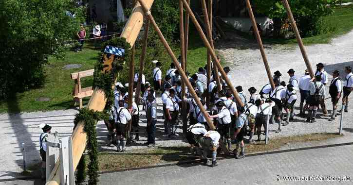 Maibaum von Brüssel bis zur Zugspitze