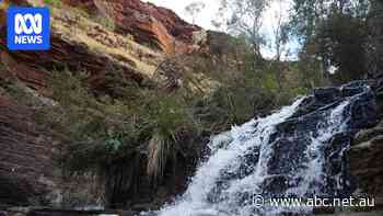 Alarm as water levels plummet at WA's Karijini National Park