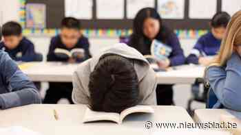 Provinciale Handelsschool wil met leeslabo’s “jongeren weer leren lezen én leesplezier aanwakkeren”