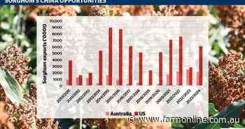 Why aren't we talking more about sorghum's baijiu opportunities in China?