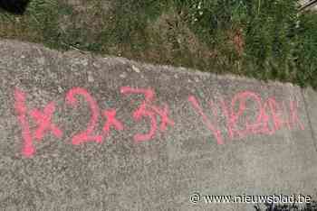 Bewoner kaart ‘vuiligheid’ en ‘vandalisme’ in dorpskern aan: “Het wordt steeds erger”