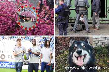 QUIZ. Hoe goed weet jij wat er allemaal gebeurt in Gent? Test het met deze 15 quizvragen