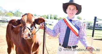 From shifting flood-affected cattle to grand champion parader at just 13