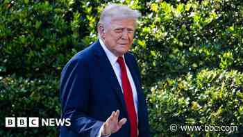 Trump set to ease tariff impact on US car makers