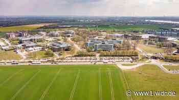 Monheimer wollen kein Bayer 04-Trainingszentrum