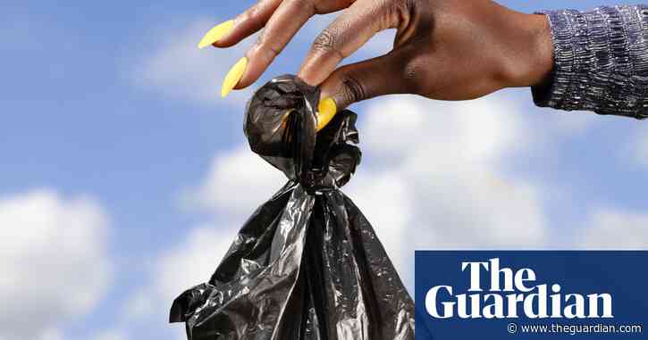 The poop scoop: is bagging it really the best solution?