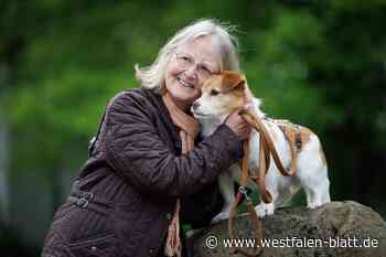 Hilfe für fast 50 Tiere – eines ist Hund Pepper