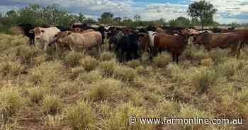 North West auction shifted to May 29 following impressive 150mm of rain