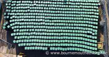 Army of wheelie bins rolls into the New Forest as changes start