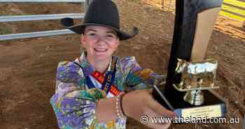 Record numbers in the show ring for beef and dairy exhibit: GALLERY