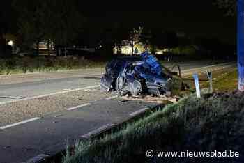 Bestuurder (22) en zijn broer (20) zwaargewond nadat ze ’s nachts met auto tegen boom belanden