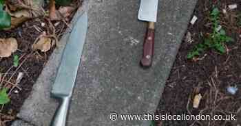 Kitchen knives found by police in weapon search near Hornchurch college