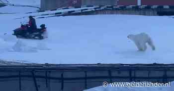 KIJK | Op het nippertje: man ontsnapt aan ijsbeer op Spitsbergen