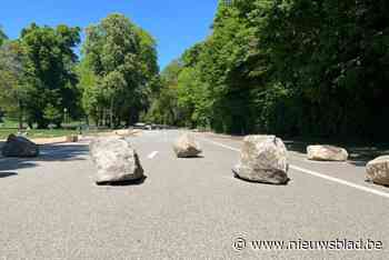 Rotsblokken in Ter Kamerenbos moeten fietsers aanmanen tot kalmte: “Bos niet meer gebruiken als velodroom”