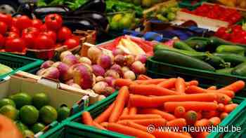 Markt in Kontich verhuist tijdelijk vanwege nieuwe fase werken Astridlaan