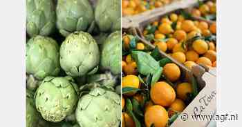 Goede vraag naar Franse artisjokken