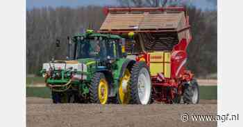 "Hogere prijs voor pootaardappelen door sterke vraag"