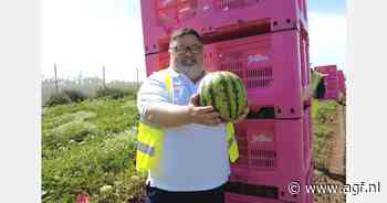 "In juni beperkte aanvoer, vanaf juli normale volumes meloenen verwacht"