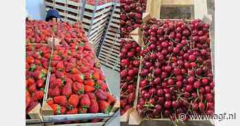 "Vorst in concurrerende landen voordeel voor Servisch zachtfruit"