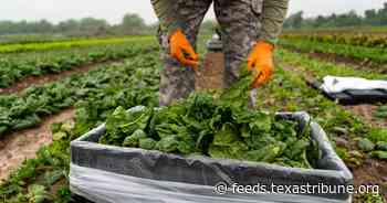 Texas farmers could have greater access to low-interest loans under a bill the Senate is considering