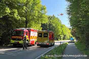 VU: Pkw mit Mutter und Baby an Bord gegen Baum