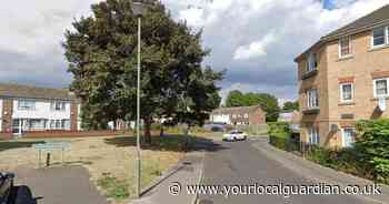 Two men charged with gun offences after shot heard in Penge