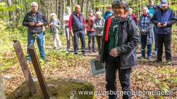 Auf den Spuren der Vergangenheit im Augsburger Stadtwald
