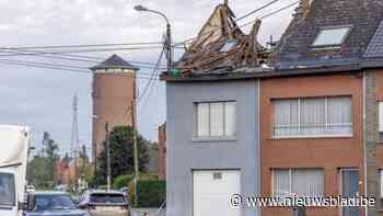 Negen hoogspanningsmasten vielen om tijdens verwoestende storm, nu plant Elia er nieuwe: “Ze zullen robuuster zijn”