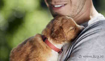Waar koopt de Nederlander zijn huisdier?