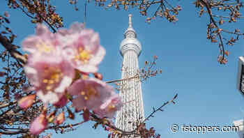 Edit Photos Faster: Adobe’s Game-Changing Lightroom Mask Feature